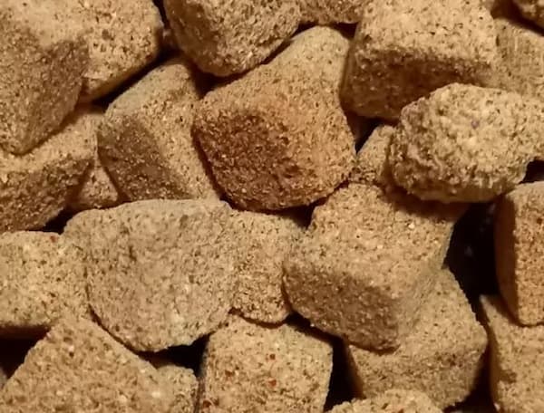 تصویر 3 از قیمت خرید عناب حبه شده + فروش ویژه